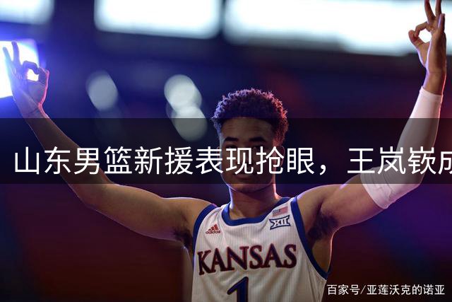山东男篮新援表现抢眼，王岚嵚成核心带动全队